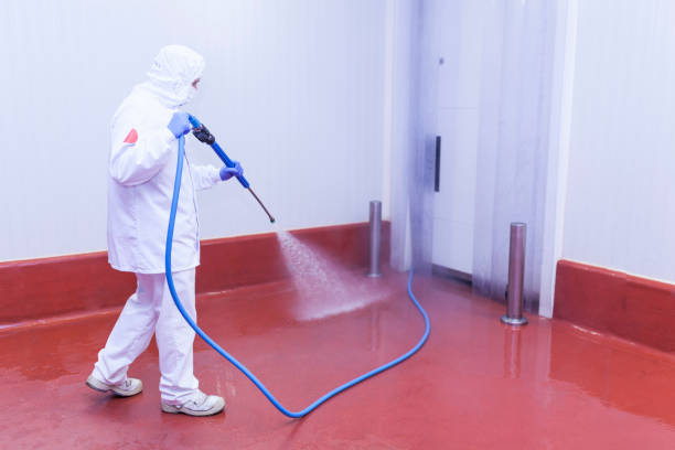 Boat and Dock Cleaning in Albany, WI